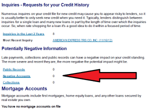 Collection accounts on Experian report